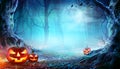 Jack OÃ¢â¬â¢ Lanterns In Spooky Forest At Moonlight